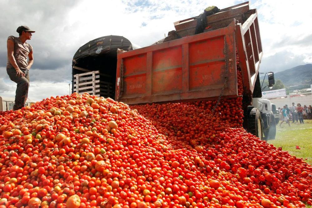 Imagen de IP y autoridades de Jalisco confían en que no habrá arancel a tomate mexicano